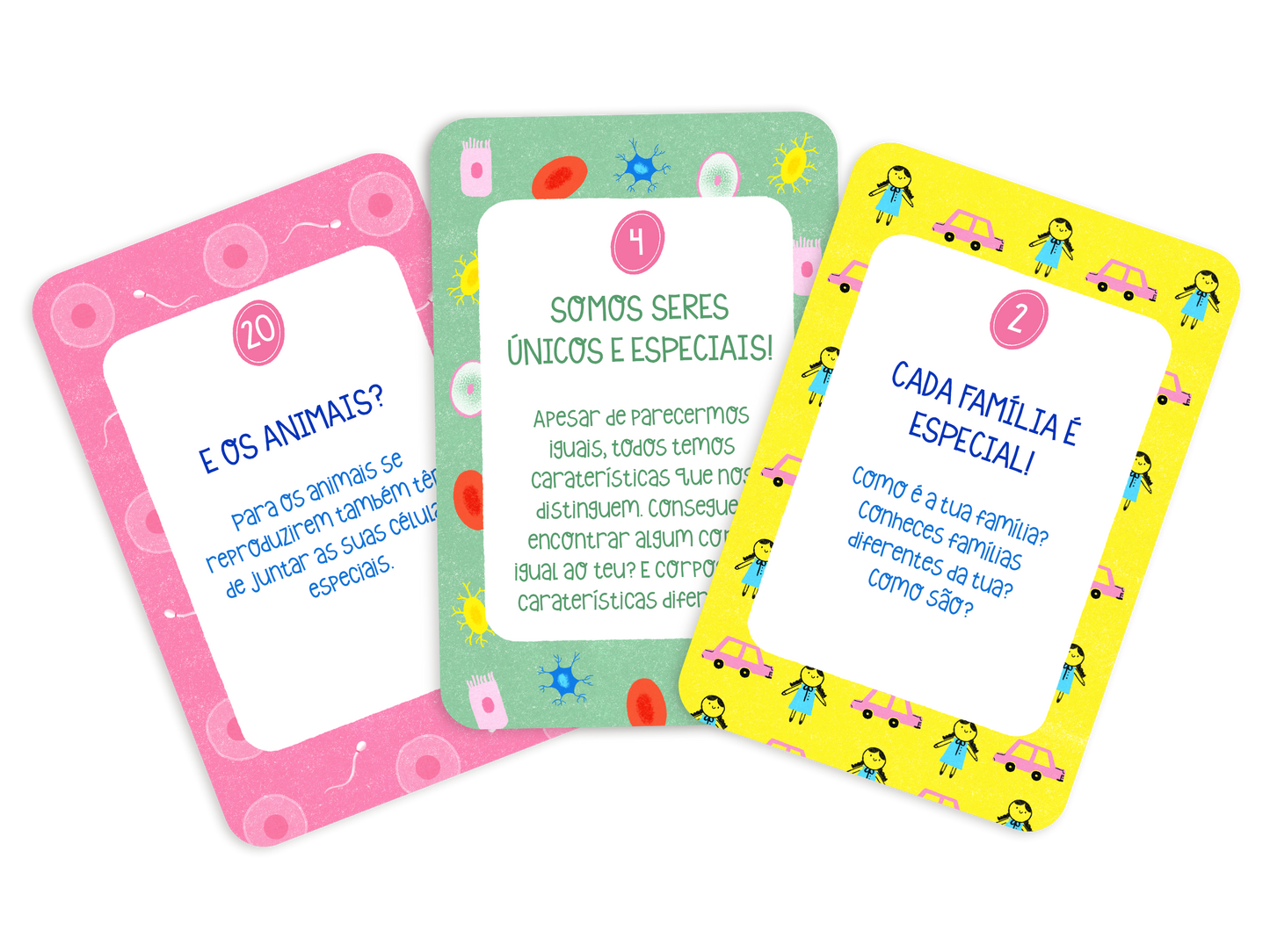 Flashcards - No meu corpo mando eu
