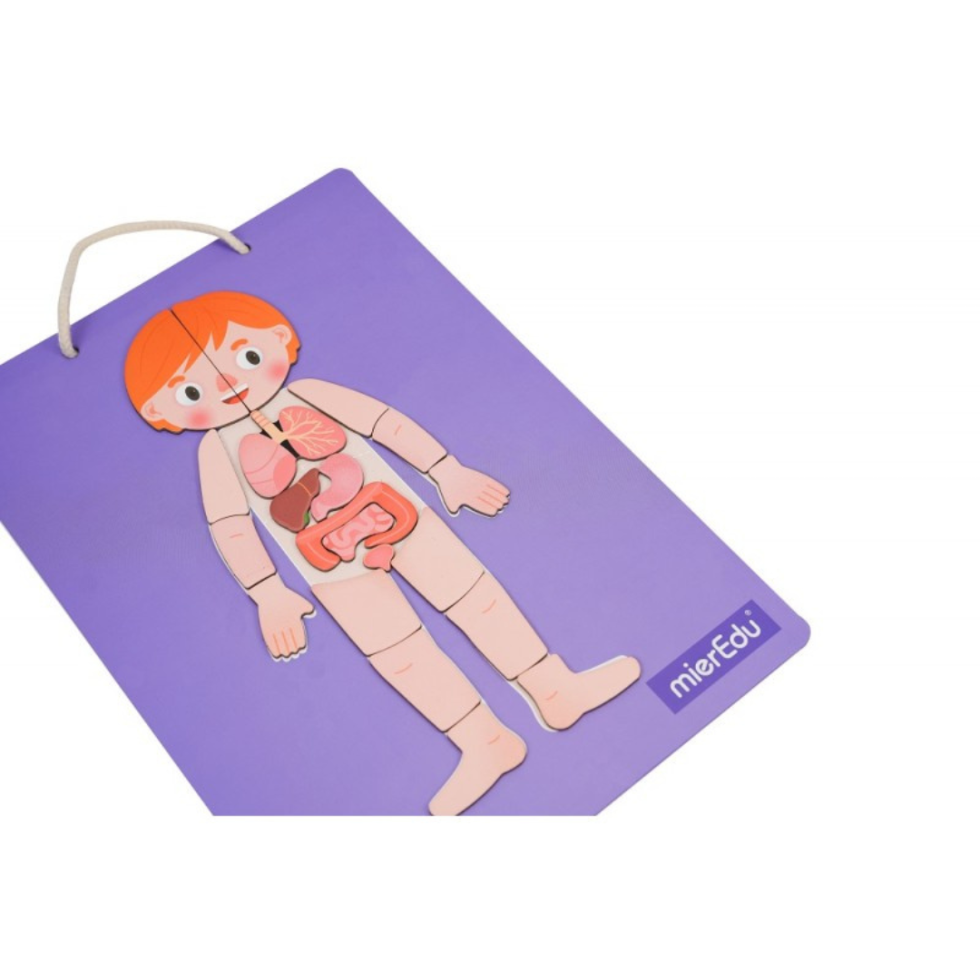 Magnetic Pad - Corpo Humano